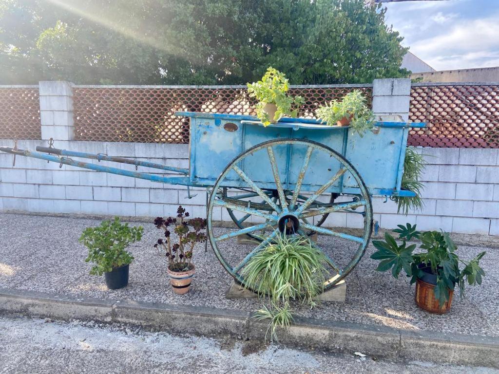 Séjour à la campagne La Casa Barata, Cedillo