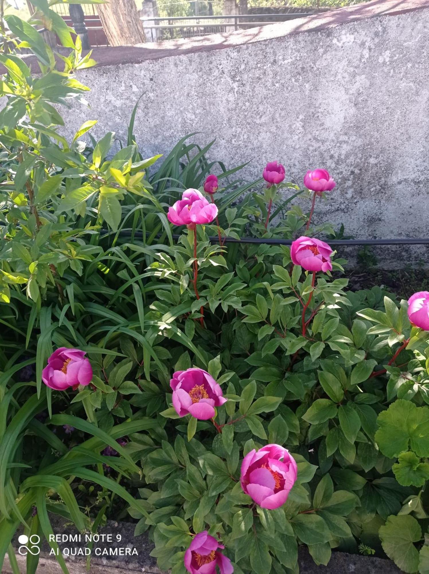 La Casa Barata, Séjour à la campagne *